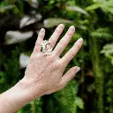 anillo-dos-geranios.webp