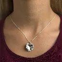 dije-geranio-plata.webp