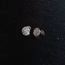 aretes-coral.webp
