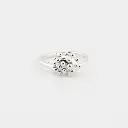 anillo_pequeño_granulado.webp