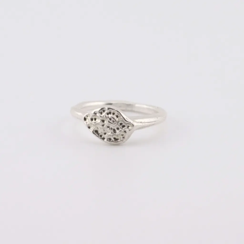 anillo_plata.webp
