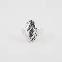 anillo_amorfo_plata.webp