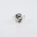 anillo_con_texturas.webp