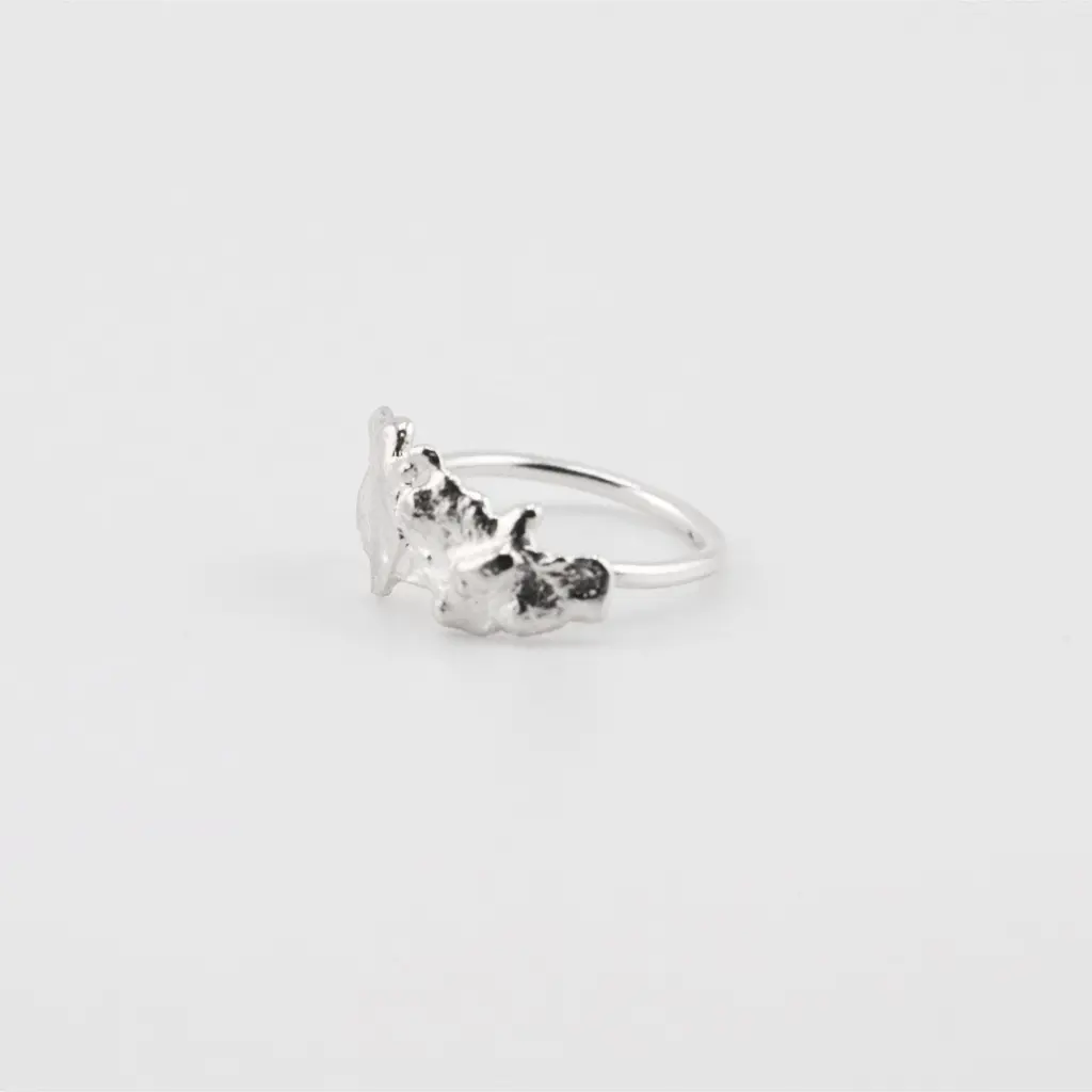 anillo_organico_pequeno_plata.webp