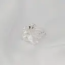 anillo_forma_geranio_en_plata.webp