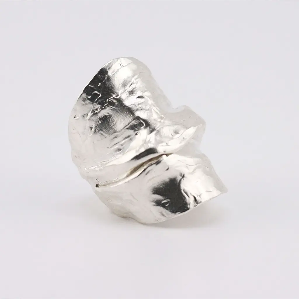 anillo_gigante_plata.webp
