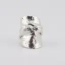 anillo_gigante_texturado.webp