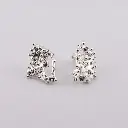 aretes_textura_arrecife.webp