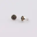 aretes_abalone_pequeños_plata.webp