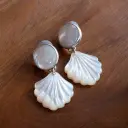 Aretes Concha Hoja Pequeña