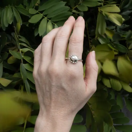 Anillo Sello Arrecife Pequeño Perla